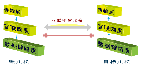 网络层